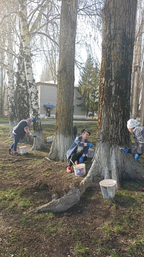 Дружный субботник.