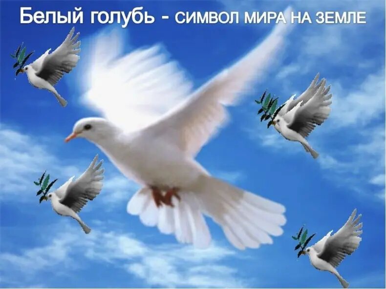 «Голуби - в небо, мир – на землю!».