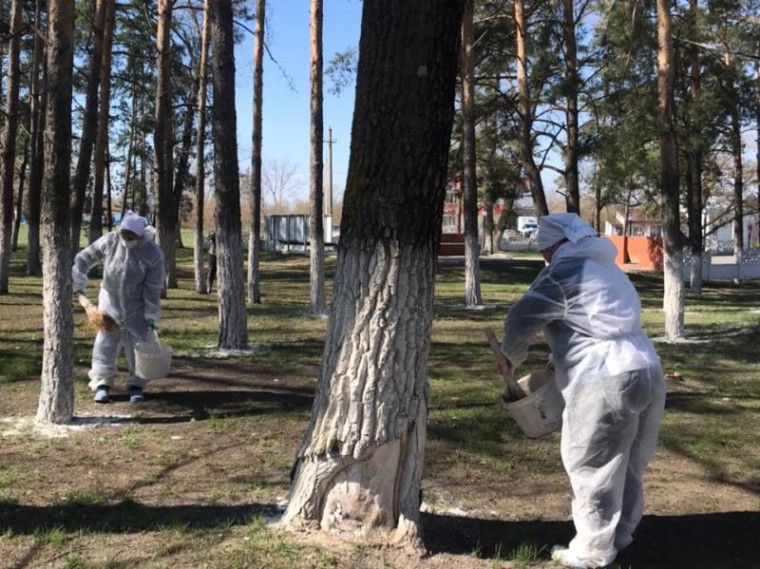 Укажите подпись к картинке. Укажите подпись к картинке.