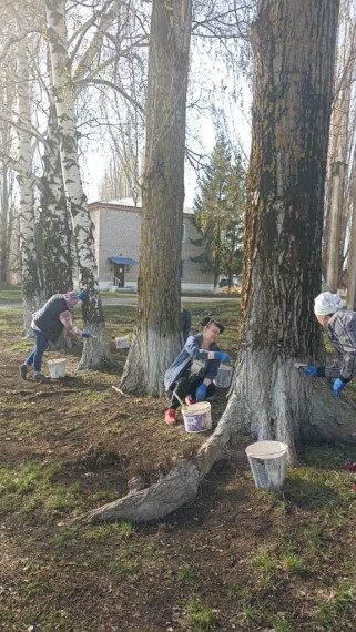 Дружный субботник. Дружный субботник.